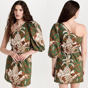 NWT Cara Cara Danielle One Shoulder Lined Mini Dress Green Fruit Basket Size: 2